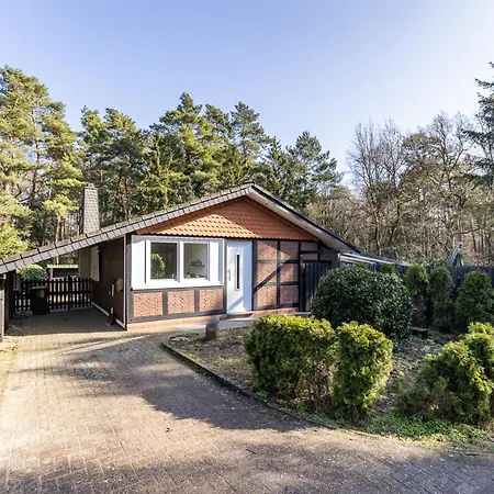 Schemder Bergmark In Den Dammer Bergen *