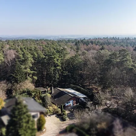 Schemder Bergmark In Den Dammer Bergen *